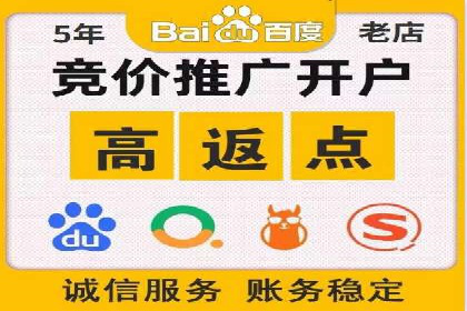 从小白到高手：百度竞价赚钱全记录